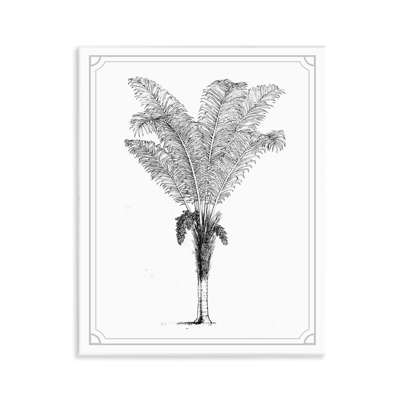 Stupell Industries Vintage & Minimal Palm Wall Plaque, design by Lettered and Lined